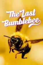 Watch The Last Bumblebee Movie2k