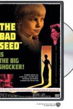 Watch The Bad Seed Movie2k