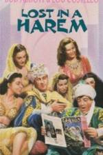 Watch Lost in a Harem Movie2k