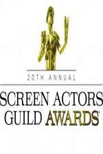 Watch The 20th Annual Screen Actors Guild Awards Movie2k