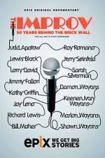 Watch The Improv: 50 Years Behind the Brick Wall (TV Special 2013) Movie2k