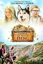 Watch Timber the Treasure Dog Movie2k