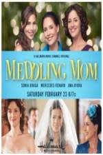 Watch Meddling Mom Movie2k