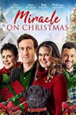 Watch Miracle on Christmas Movie2k