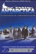 Watch Antarctica Movie2k