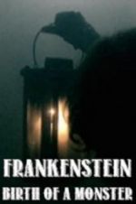 Watch Frankenstein: Birth of a Monster Movie2k