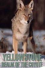 Watch Yellowstone: Realm of the Coyote Movie2k