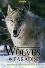 Watch Wolves in Paradise Movie2k