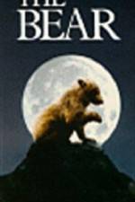 Watch The Bear - (L'ours) Movie2k