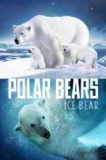 Watch Polar Bears Ice Bear Movie2k