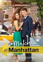 Watch A Match in Manhattan Movie2k