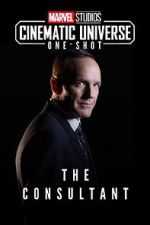 Watch Marvel One-Shot: The Consultant Movie2k