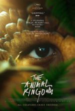 Watch The Animal Kingdom Movie2k