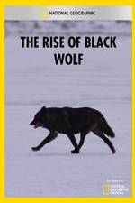 Watch The Rise of Black Wolf Movie2k