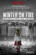 Watch Winter on Fire Movie2k