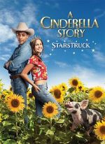 Watch A Cinderella Story: Starstruck Movie2k