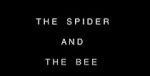 Watch The Spider and the Bee Movie2k