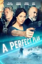 Watch A Perfect Plan Movie2k