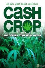 Watch Cash Crop Movie2k