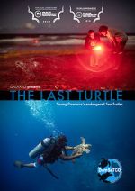 Watch The Last Turtle (Short 2019) Movie2k