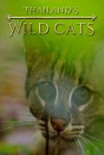 Watch Thailand's Wild Cats Movie25