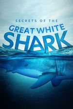 Watch Secrets of the Great White Shark Movie2k