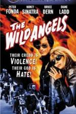 Watch The Wild Angels Movie2k