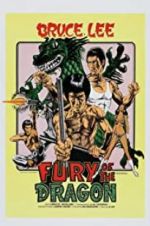 Watch Fury of the Dragon Movie2k
