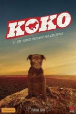 Watch Koko: A Red Dog Story Movie2k