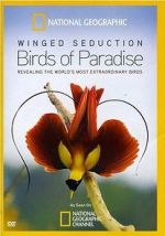 Watch Winged Seduction: Birds of Paradise Movie2k