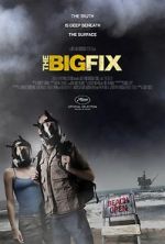 Watch The Big Fix Movie2k