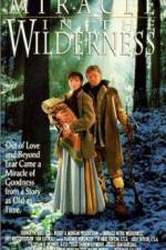 Watch Miracle in the Wilderness Movie2k