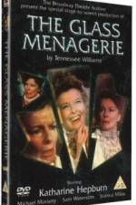 Watch The Glass Menagerie Movie2k