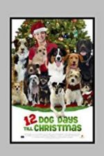 Watch 12 Dog Days Till Christmas Movie2k