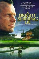 Watch A Bright Shining Lie Movie2k