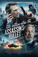 Watch Assassin's Bullet Movie2k