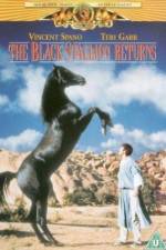 Watch The Black Stallion Returns Movie2k