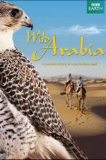 Watch Wild Arabia Movie2k