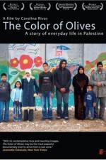 Watch The Color of Olives Movie2k