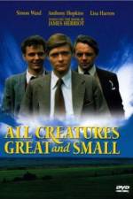 Watch All Creatures Great and Small Movie2k
