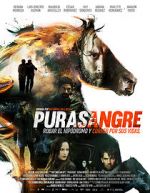 Watch Purasangre Movie2k