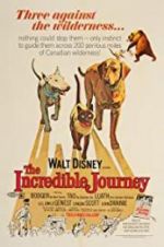 Watch The Incredible Journey Movie2k