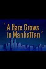 Watch A Hare Grows in Manhattan Movie2k