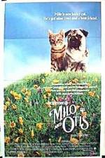 Watch Milo & Otis Movie2k