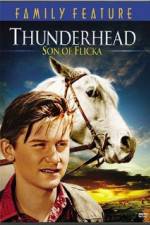 Watch Thunderhead - Son of Flicka Movie2k