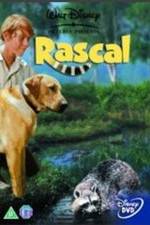 Watch Rascal Movie2k