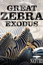 Watch Nature: Great Zebra Exodus Movie2k