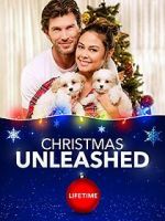 Watch A Doggone Christmas Movie2k