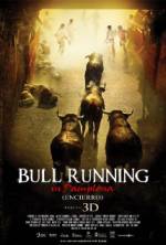 Watch Encierro 3D: Bull Running in Pamplona Movie2k