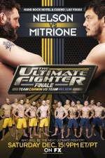 Watch The Ultimate Fighter 16 Finale Nelson vs Mitrione Movie2k